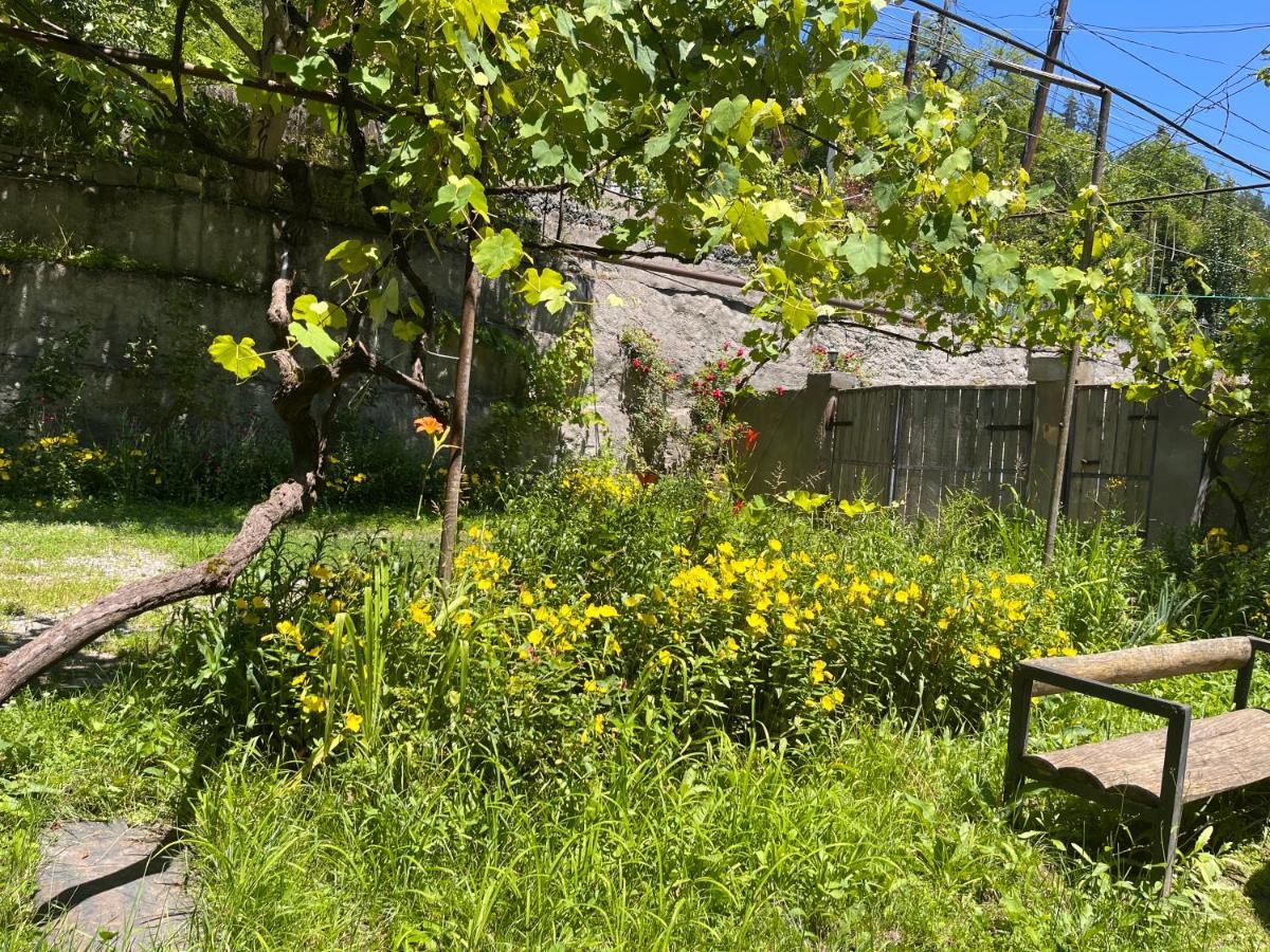 Borjomi Makvala'S Guest House מראה חיצוני תמונה