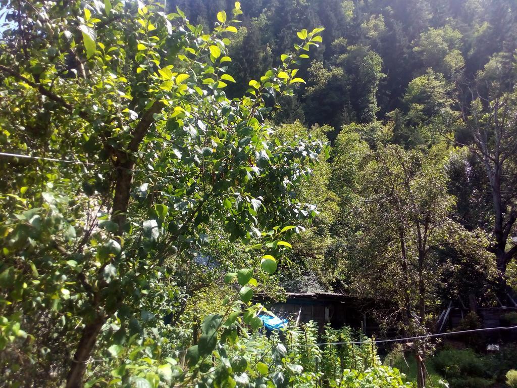 Borjomi Makvala'S Guest House מראה חיצוני תמונה