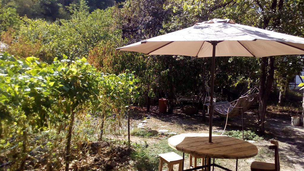 Borjomi Makvala'S Guest House מראה חיצוני תמונה