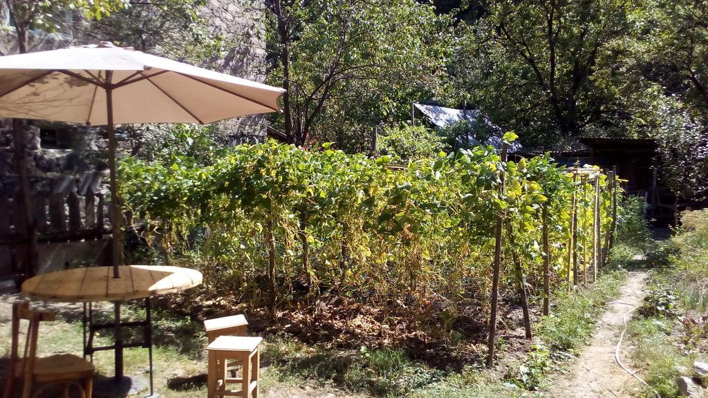 Borjomi Makvala'S Guest House מראה חיצוני תמונה