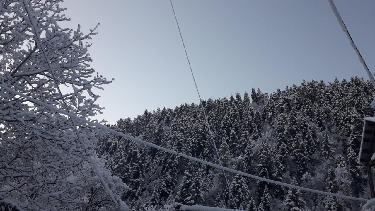 Borjomi Makvala'S Guest House מראה חיצוני תמונה