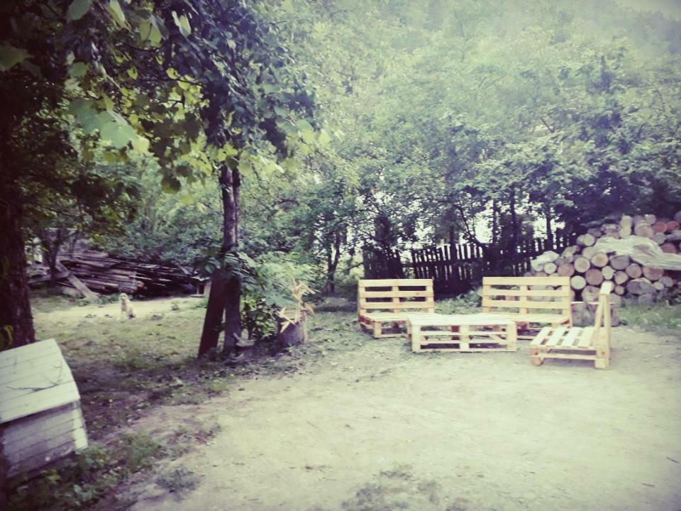 Borjomi Makvala'S Guest House מראה חיצוני תמונה
